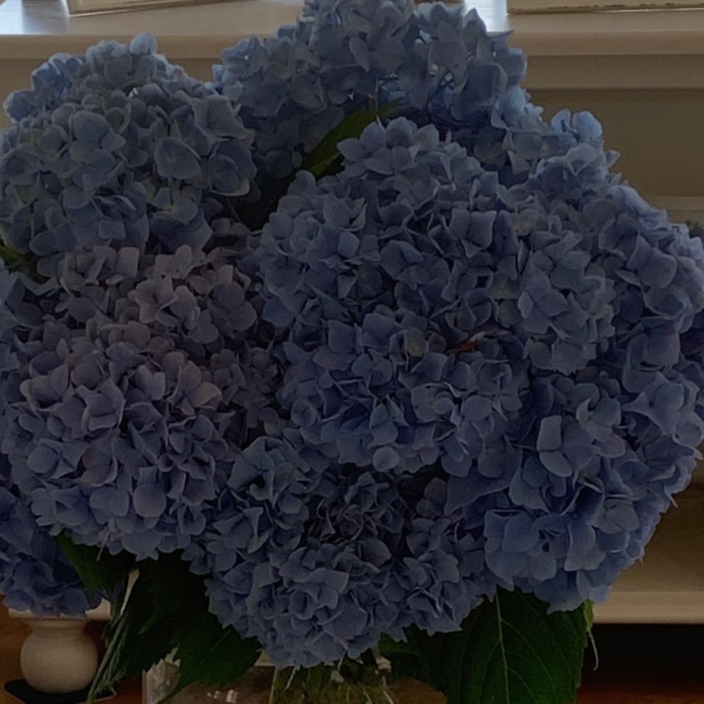 Meet your Posher, Marie MC